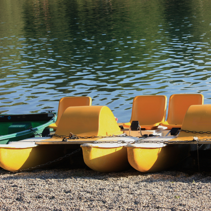 pédalos Traditional Music